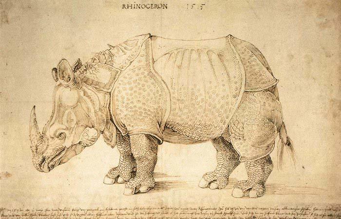 Albrecht Durer Rhinoceros